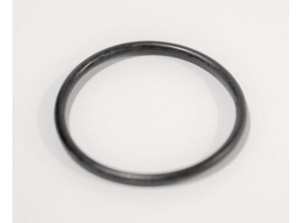Interspiro o-ring 10 pk 